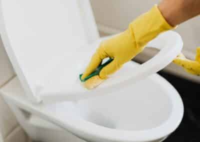 cleaning 14 scrub toilet seat